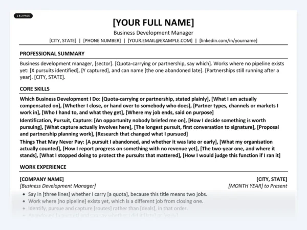 Business Development Manager resume template, one page, ATS-friendly layout