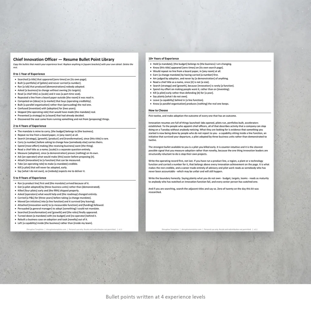 Chief Innovation Officer resume bullet points written at four experience levels