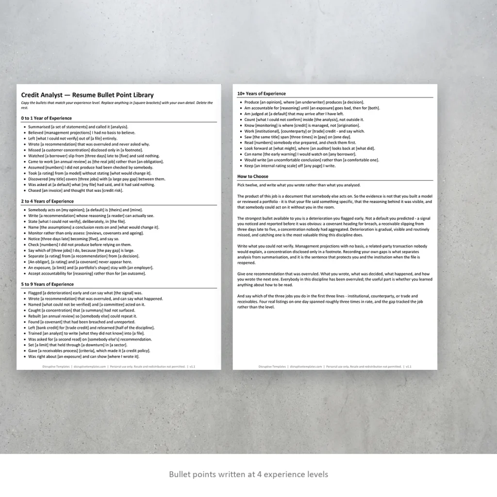 Credit Analyst resume bullet points written at four experience levels