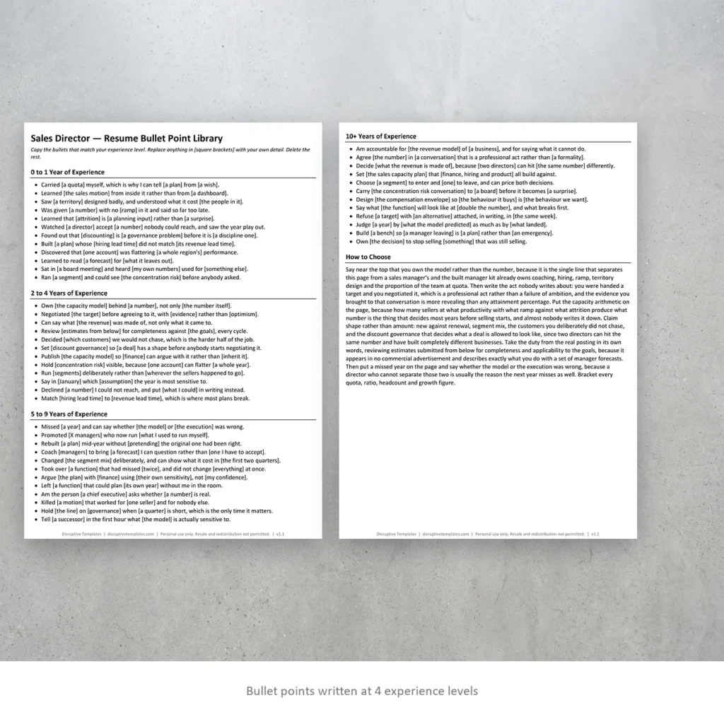 Sales Director resume bullet points written at four experience levels