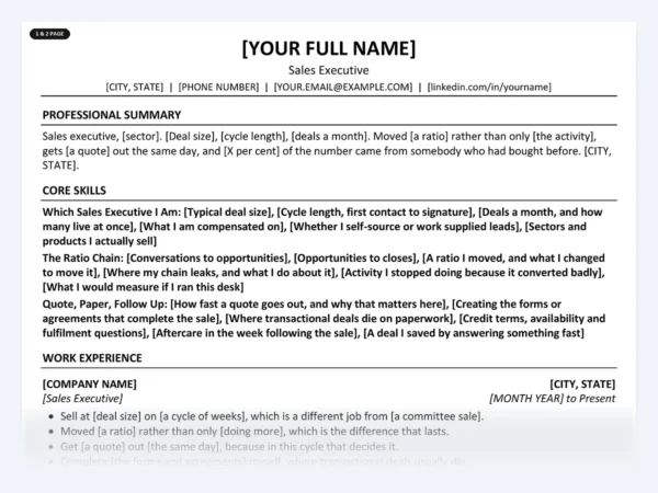 Sales Executive resume template, one page, ATS-friendly layout