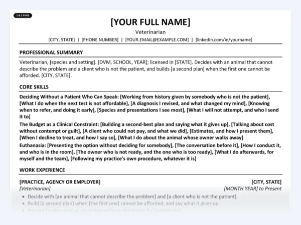 Veterinarian resume template, one page, ATS-friendly layout